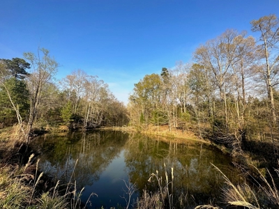 531 Acres Hunting Land Camp Lake for Sale SW MS - image 33