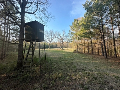 531 Acres Hunting Land Camp Lake for Sale SW MS - image 37