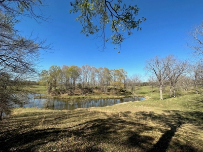 531 Acres Hunting Land Camp Lake for Sale SW MS - image 16