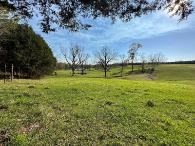 531 Acres Hunting Land Camp Lake for Sale SW MS - image 24