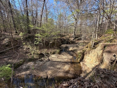 531 Acres Hunting Land Camp Lake for Sale SW MS - image 20