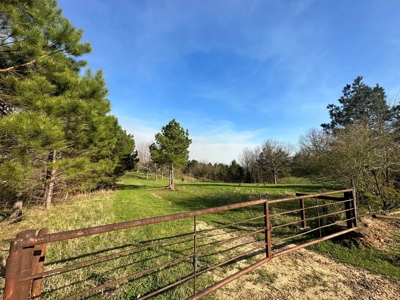531 Acres Hunting Land Camp Lake for Sale SW MS - image 29