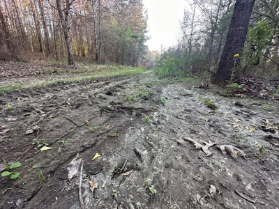 531 Acres Hunting Land Camp Lake for Sale SW MS - image 40