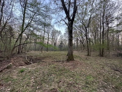 531 Acres Hunting Land Camp Lake for Sale SW MS - image 13