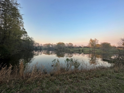 531 Acres Hunting Land Camp Lake for Sale SW MS - image 9