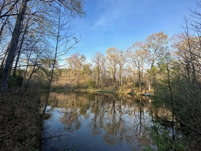 531 Acres Hunting Land Camp Lake for Sale SW MS - image 36