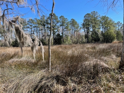 Waterfront, Water Access Lots for Sale in Beaufort, NC - image 41