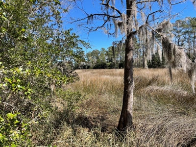 Waterfront, Water Access Lots for Sale in Beaufort, NC - image 39