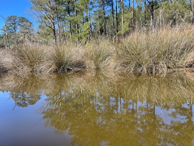 Waterfront, Water Access Lots for Sale in Beaufort, NC - image 26