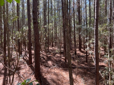Waterfront, Water Access Lots for Sale in Beaufort, NC - image 34