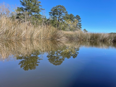 Waterfront, Water Access Lots for Sale in Beaufort, NC - image 27