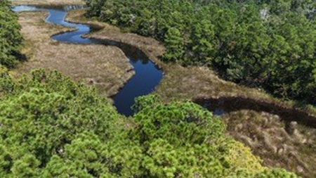 Waterfront, Water Access Lots for Sale in Beaufort, NC - image 44