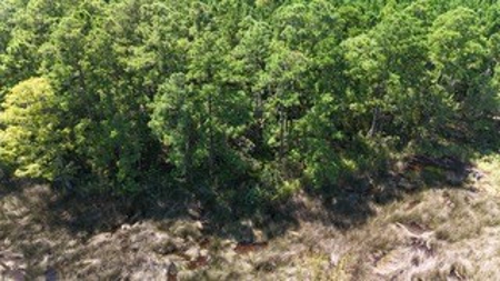 Waterfront, Water Access Lots for Sale in Beaufort, NC - image 47