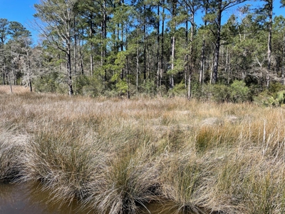 Waterfront, Water Access Lots for Sale in Beaufort, NC - image 25