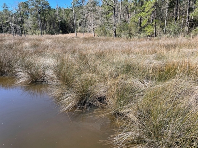Waterfront, Water Access Lots for Sale in Beaufort, NC - image 18