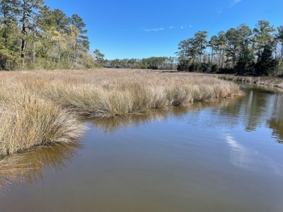 Waterfront, Water Access Lots for Sale in Beaufort, NC - image 22