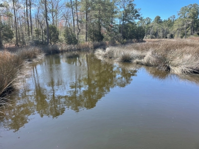 Waterfront, Water Access Lots for Sale in Beaufort, NC - image 23