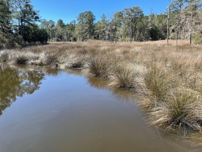 Waterfront, Water Access Lots for Sale in Beaufort, NC - image 19