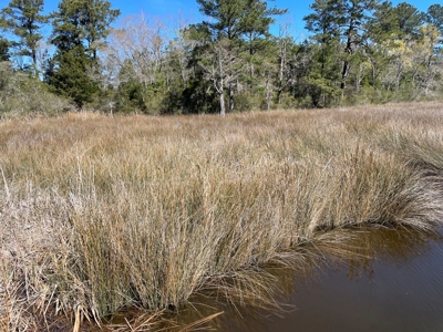 Waterfront, Water Access Lots for Sale in Beaufort, NC - image 17