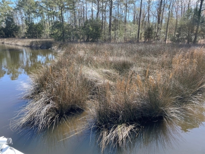 Waterfront, Water Access Lots for Sale in Beaufort, NC - image 24
