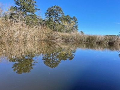 Waterfront, Water Access Lots for Sale in Beaufort, NC - image 28
