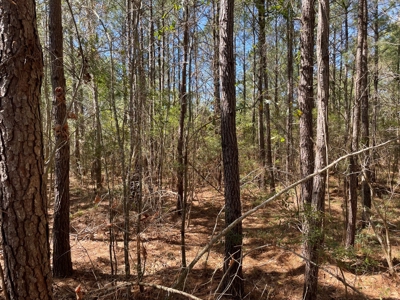 Waterfront, Water Access Lots for Sale in Beaufort, NC - image 37