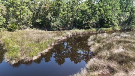 Waterfront, Water Access Lots for Sale in Beaufort, NC - image 50