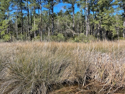 Waterfront, Water Access Lots for Sale in Beaufort, NC - image 16