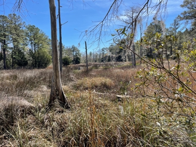 Waterfront, Water Access Lots for Sale in Beaufort, NC - image 40
