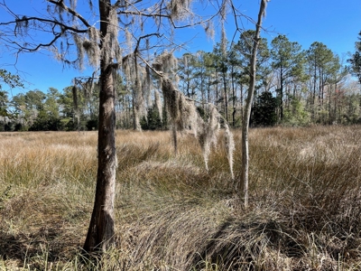 Waterfront, Water Access Lots for Sale in Beaufort, NC - image 38