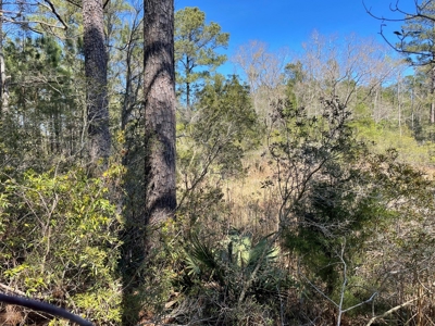 Waterfront, Water Access Lots for Sale in Beaufort, NC - image 36