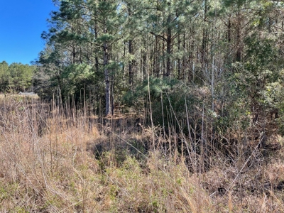Waterfront, Water Access Lots for Sale in Beaufort, NC - image 32