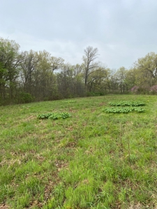 Highway Frontage Land For Sale - image 14