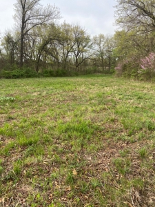 Highway Frontage Land For Sale - image 12