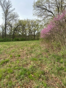 Highway Frontage Land For Sale - image 11