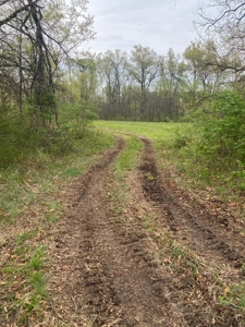 Highway Frontage Land For Sale - image 10