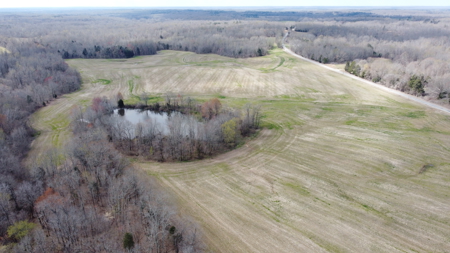 144-Acre Income-Producing Farm for Sale – Madison County, TN - image 20