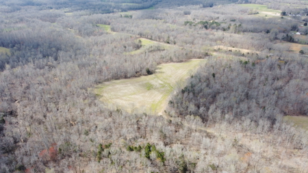 144-Acre Income-Producing Farm for Sale – Madison County, TN - image 22