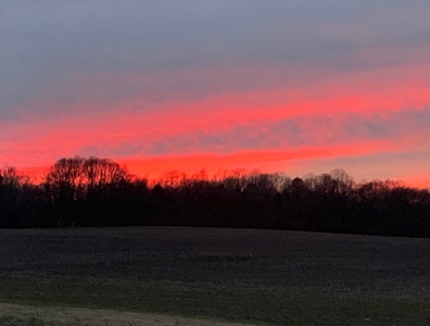 144 Ac  For Sale Near Blue Oval City- Jackson, TN SW Madison - image 6