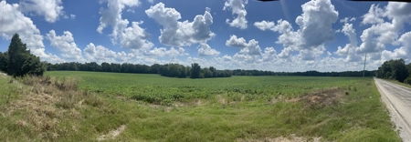144 Ac  For Sale Near Blue Oval City- Jackson, TN SW Madison - image 13