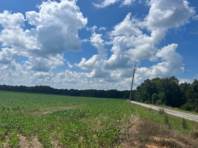 144 Ac  For Sale Near Blue Oval City- Jackson, TN SW Madison - image 16
