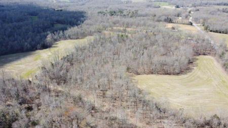 144-Acre Income-Producing Farm for Sale – Madison County, TN - image 24
