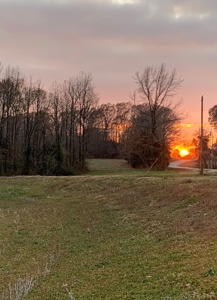 144 Ac  For Sale Near Blue Oval City- Jackson, TN SW Madison - image 3