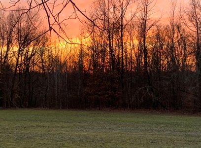 144 Ac  For Sale Near Blue Oval City- Jackson, TN SW Madison - image 1