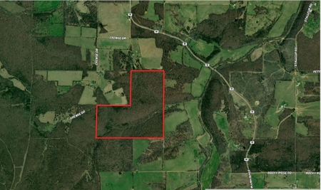 Wooded land for sale in Southern, Missouri - Texas County - image 1