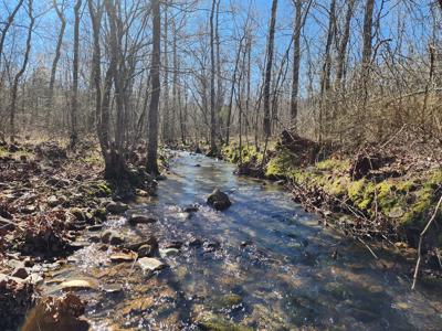 Rustic Cabin & 1 Acres - Ouachita National Forest - image 8