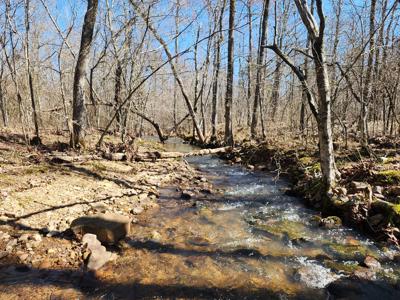 Rustic Cabin & 1 Acres - Ouachita National Forest - image 9