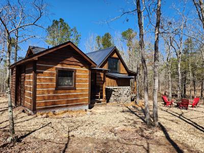 Rustic Cabin & 1 Acres - Ouachita National Forest - image 4