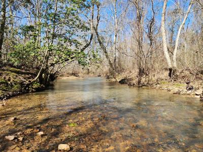 Rustic Cabin & 1 Acres - Ouachita National Forest - image 7