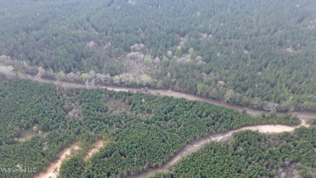 72 Acres Land for Sale Camden, MS - image 21